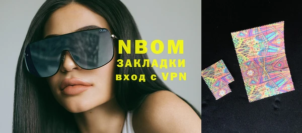 ПСИЛОЦИБИНОВЫЕ ГРИБЫ Михайлов