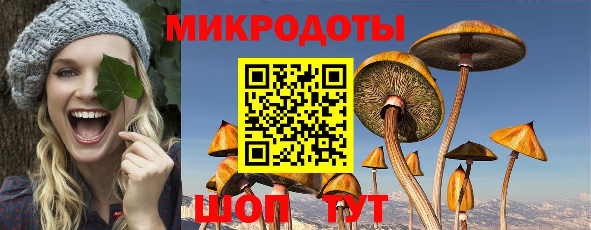 Березники  Галлюциногенные грибы мицелий  Вход с VPN  Галлюциногенные грибы Magic Shrooms 