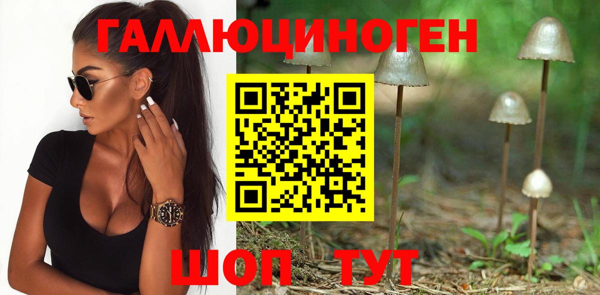 Галлюциногенные грибы Cubensis  Березники 