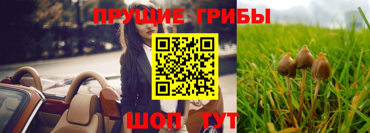 Галлюциногенные грибы ЛСД Березники